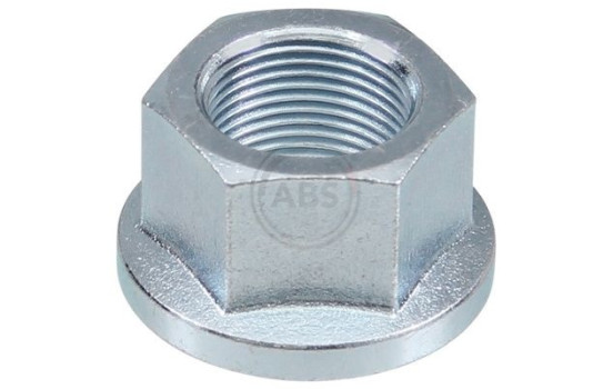 Wheel hub nut