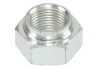 Wheel hub nut