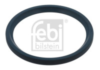Oil seal, wheel bearing
