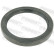 Seal, drive shaft
