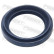 Seal, drive shaft