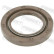 Seal, drive shaft