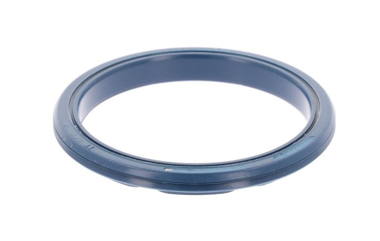 Seal ring, ball joint bearing