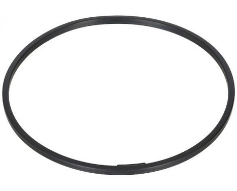 Seal Ring, wheel hub