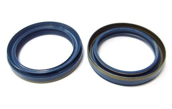 Seal Ring