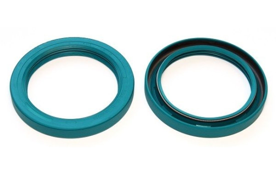 Seal Ring