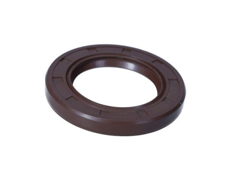 Sealing ring