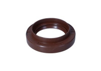 Sealing ring