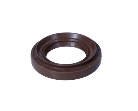 Sealing ring