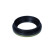 Sealing ring