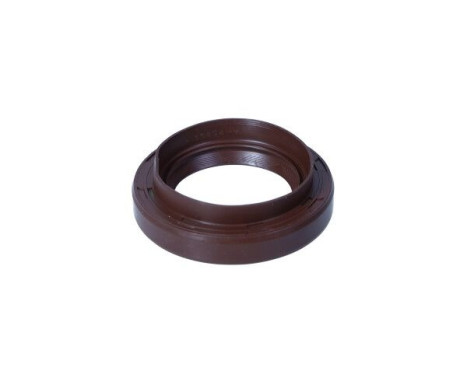 Sealing ring