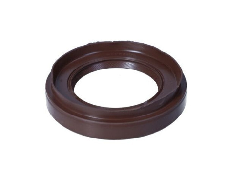 Sealing ring