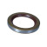 Sealing ring