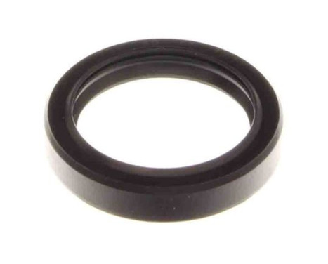 Sealing ring