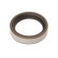 Sealing ring