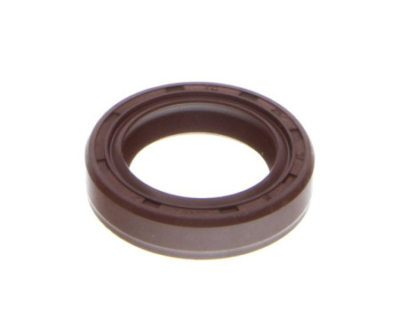 Sealing ring