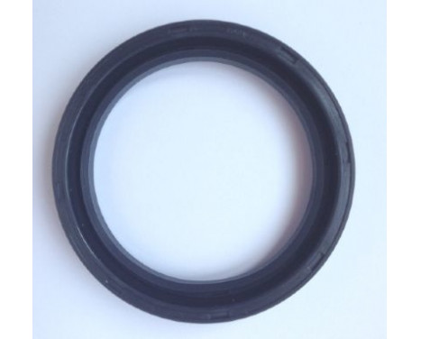 Shaft Seal, wheel hub