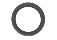 Shaft Seal, wheel hub