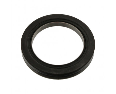 Shaft Seal, wheel hub