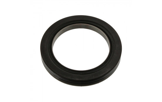 Shaft Seal, wheel hub