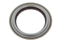 Shaft Seal, wheel hub