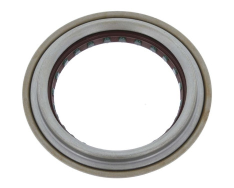 Shaft Seal, wheel hub