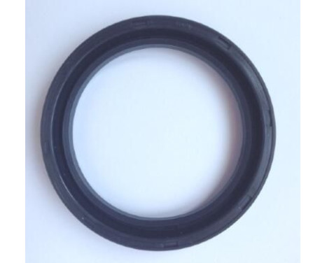 Shaft Seal, wheel hub