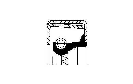 Shaft Seal, wheel hub