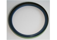 Shaft Seal, wheel hub