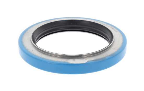 Shaft Seal, wheel hub