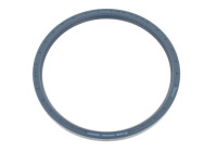 Shaft Seal, wheel hub