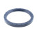 Shaft Seal, wheel hub