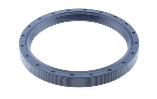 Shaft Seal, wheel hub