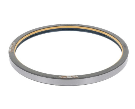 Shaft Seal, wheel hub