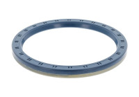 Shaft Seal, wheel hub