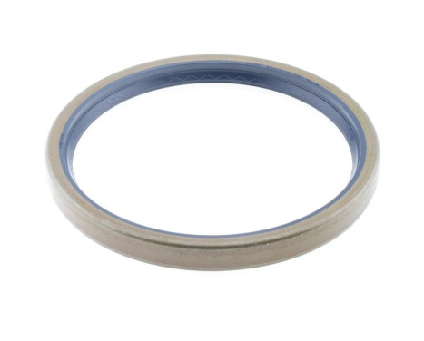 Shaft Seal, wheel hub
