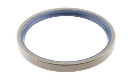 Shaft Seal, wheel hub