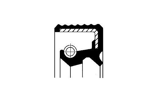 Shaft Seal, wheel hub
