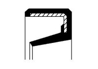 Shaft Seal, wheel hub