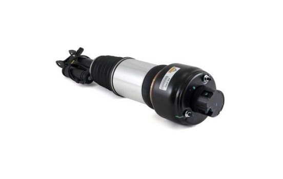 Air Spring Strut, Image 2