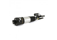 Air Spring Strut