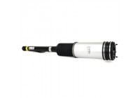 Air Spring Strut
