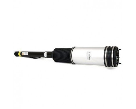 Air Spring Strut