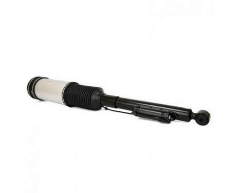 Air Spring Strut, Image 2