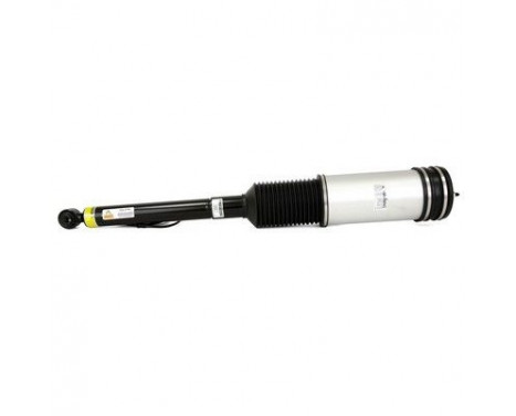 Air Spring Strut, Image 5