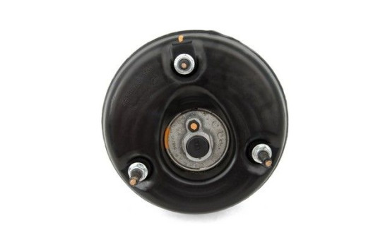 Air Spring Strut, Image 4