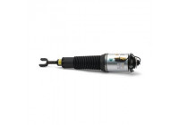 Air Spring Strut