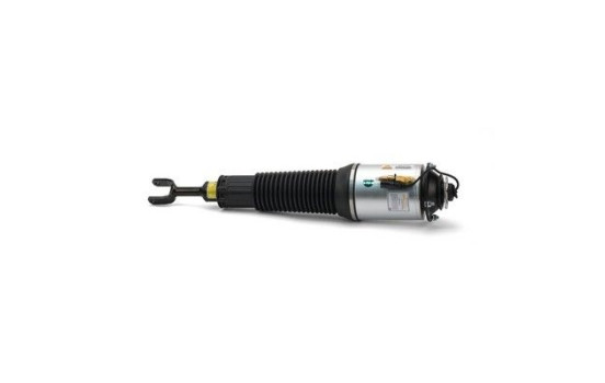 Air Spring Strut