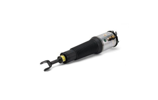 Air Spring Strut, Image 3