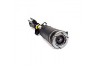 Air Spring Strut